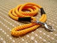 Nylon dog leash