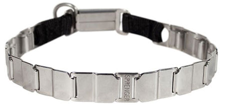 metal dog collar