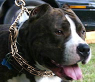 Curogan Dog Pinch Collar 23 inch - Herm Sprenger 50004 (3.25mm) Curogan Dog Pinch Collar 23 inch - Herm Sprenger 50004 (3.25mm)